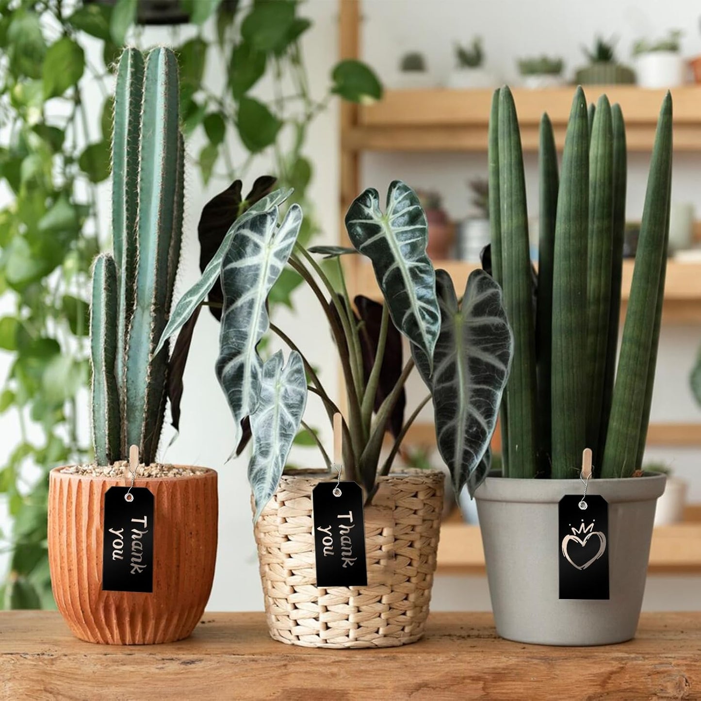 100 Pcs Waterproof Hanging Price Tags with String Attached - Black, 4 3/4" x 2 3/8" for Retail, Engraving, Gift, Equipment, Garage, Shelf Parts