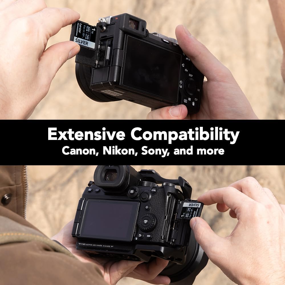 Lexar 1TB Professional Silver SD Card, UHS-I, C10, U3, V30, 4K, Up to 205/140 MB/s SDXC Memory Card, for Professional Photographer, Videographer, Enthusiast (LSDSILV001T-BNNNU)